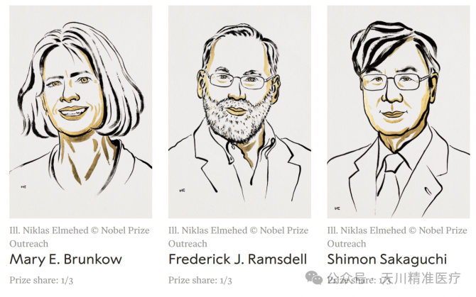 2025年诺贝尔生理学或医学奖揭晓 细胞疗法再次获奖