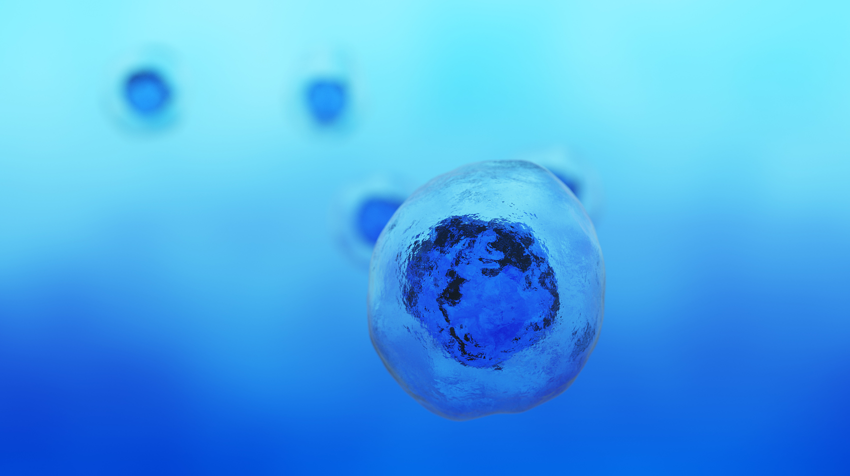 间充质干细胞培养基